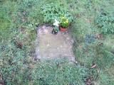 image of grave number 384387